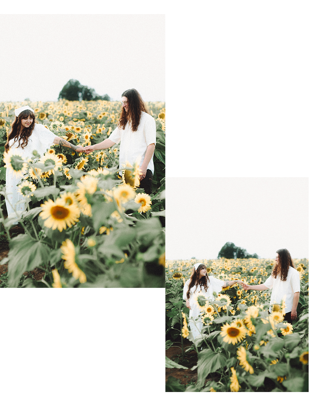 Lovestory Pregnancy Announcement Among the Sunflowers of the Wooden Shoe Tulip Farm — photograph 29 of 39